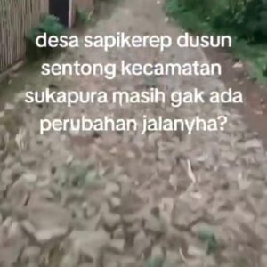 Viral di TikTok, Jalan Makadam di Desa Sapikerep Probolinggo Tak Pernah Diperbaiki Sejak 2018