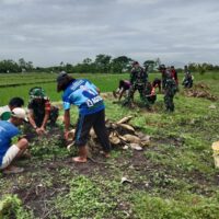 Penanaman Pohon Sukun Upaya Koramil Karangmalang Mendukung Penghijauan