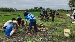 Penanaman Pohon Sukun Upaya Koramil Karangmalang Mendukung Penghijauan