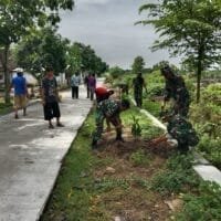 Babinsa Tanam Pohon Mangga dan Nangka, Cegah Erosi dan Tingkatkan Ketahanan Pangan