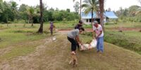 Jelang Hari Raya Idul Fitri 1446 H, Satgas Yonif 312/KH Gelar Karya Bakti Bersama Masyarakat Kampung Kirely