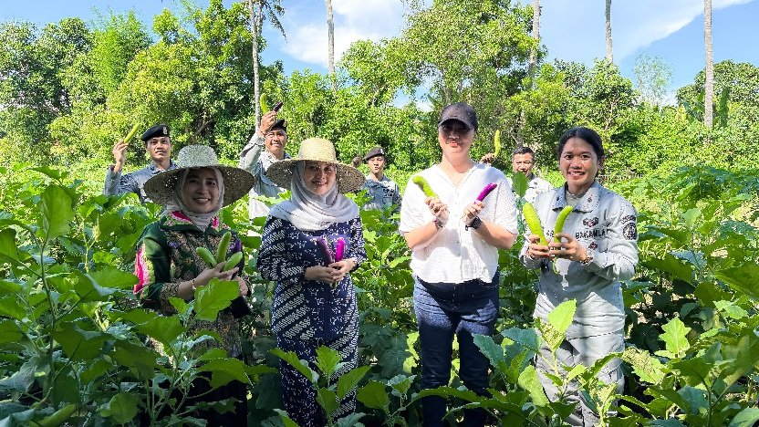 Kepala Bakamla RI Panen Kacang Tanah di Karangasem Bali
