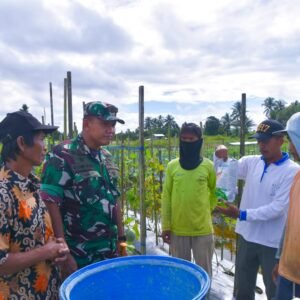 Dandim 1710/Mimika Tinjau Ketahanan Pangan Di Lahan Percontohan Petani Binaan