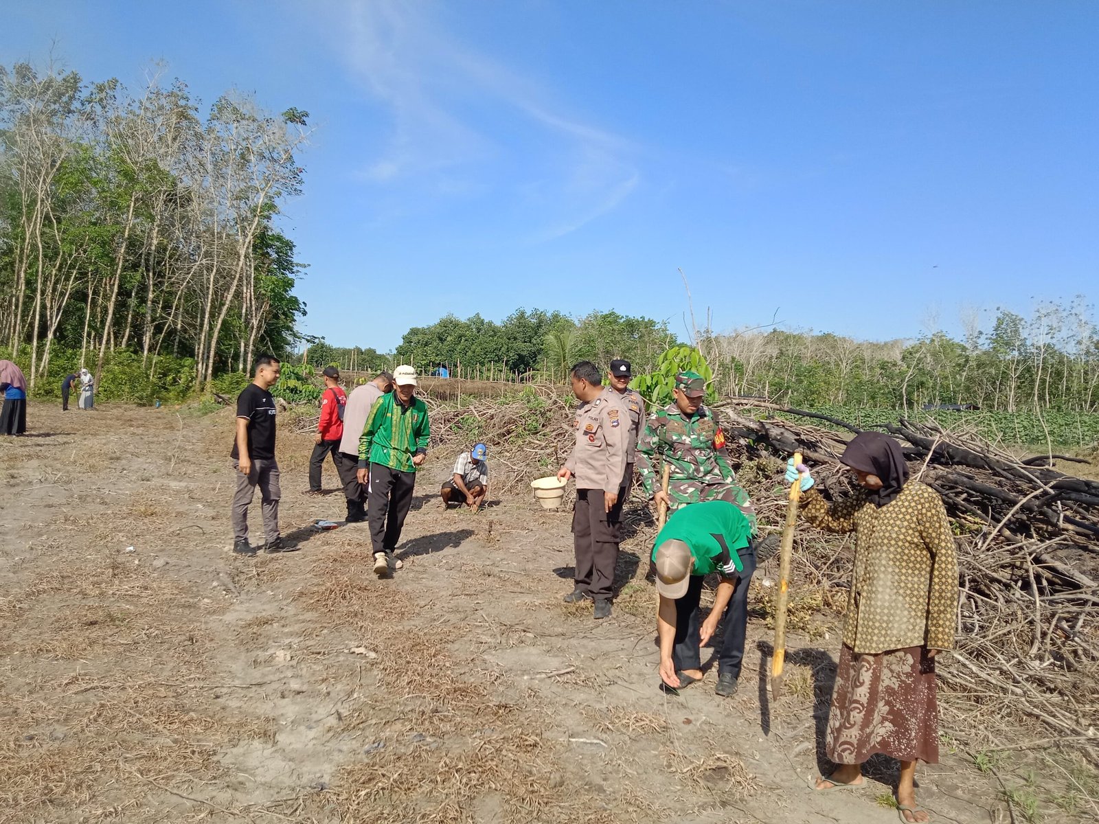 Babinsa Koramil 1008-06/Banua Lawas Tanam Jagung Manis Bersama Warga di Desa Pugaan