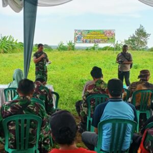Kodim 0820 Probolinggo Panen Raya Kacang Tanah di Desa Boto, Lumbang 