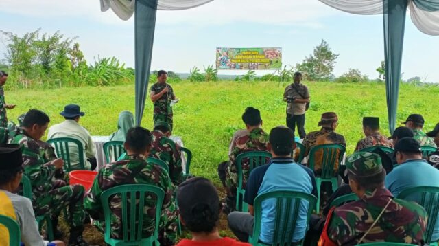 Kodim 0820 Probolinggo Panen Raya Kacang Tanah di Desa Boto, Lumbang 