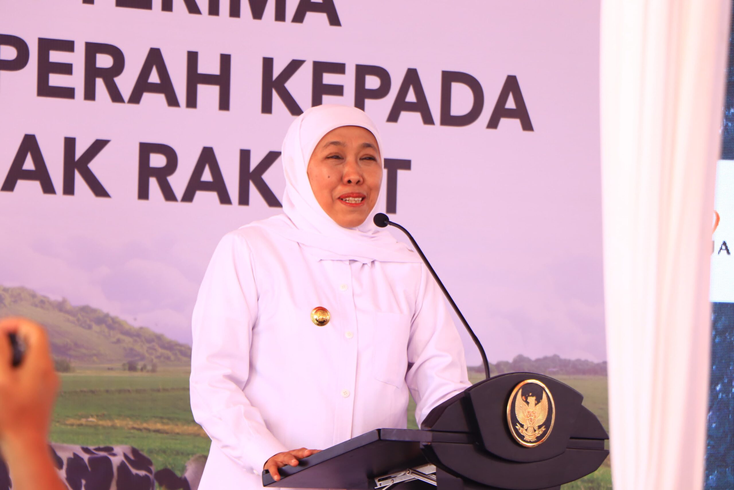 Dandim Probolinggo Dampingi Khofifah Serah Terima 1.080 Sapi Perah Peternak