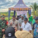 Dukung Ketahanan Pangan Nasional, HST Targetkan 200 Hektar Sawah Baru