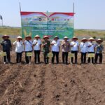 Dukung Swasembada Pangan, TNI–Polri dan Pemkab Probolinggo Gelar Penanaman Jagung Serentak