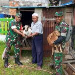Perkuat Ekonomi Masyarakat lewat Bantuan Bibit Ternak Melalui Pemerintah Pusat Kepada Tokoh Adat dan Tokoh Masyarakat di PBD