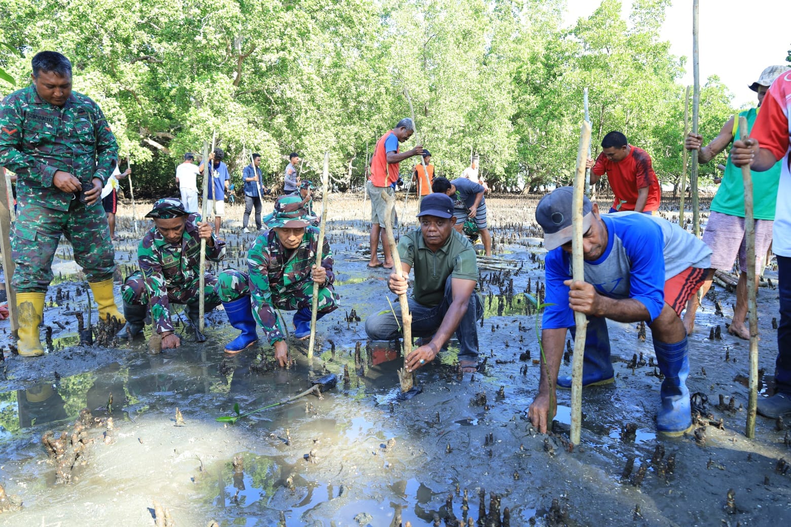 Lestarikan Pantai, Satgas TMMD Kodim 1505/Tidore Galakkan Penanaman Mangrove di Oba Selatan