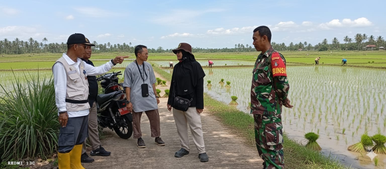 Dandim 1008/Tabalong Apresiasi Babinsa yang Aktif Dampingi Petani di Lapangan