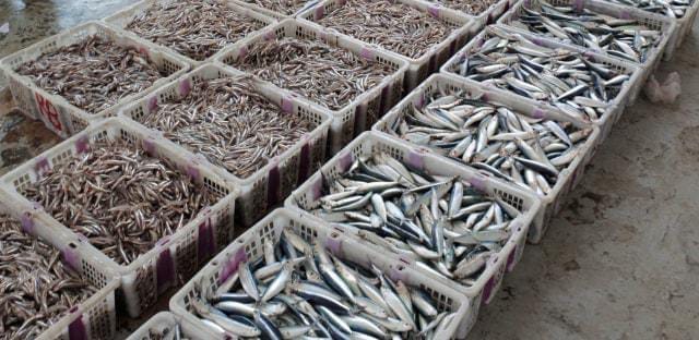 TPI Mayangan dalam Pusaran Dugaan Penyalahgunaan Air PDAM, Aspek Hukum Disorot