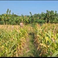 Binmas dan Bhabinkamtibmas Garda Terdepan Polri Dalam Mendukung Kemitraan Pertanian