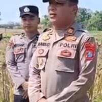 Dukung Produksi Jagung, Kapolsek Widang Turun Langsung Temui Petani