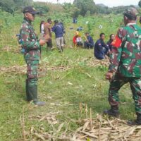 Peringatan HPN 2026, TNI, Insan Pers dan Elemen Masyarakat di Bojonegoro Tanam Ratusan Pohon Produktif