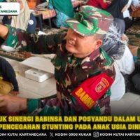 foto website (29) Bentuk Sinergi Babinsa dan Posyandu dalam Upaya Pencegahan Stunting pada Anak Usia Dini