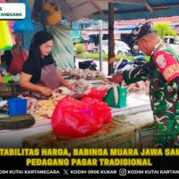 foto website(30) Jaga Stabilitas Harga, Babinsa Muara Jawa Sambangi Pedagang Pasar Tradisional