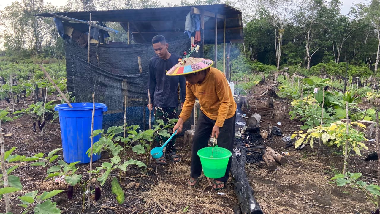 Anggota Satgas TMMD Wiltas Ke-127 Bantu Warga Rawat Tanaman Terong di Linggang Amer