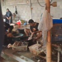 Warga Kanigaran Resah Bau Limbah Pemotongan Bebek, Aktivitas Diduga Tanpa Izin Masih Beroperasi