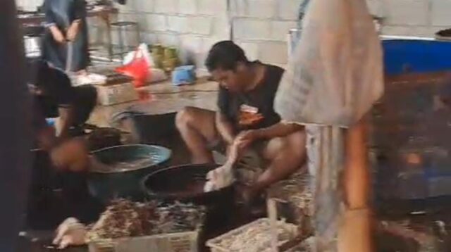 Warga Kanigaran Resah Bau Limbah Pemotongan Bebek, Aktivitas Diduga Tanpa Izin Masih Beroperasi