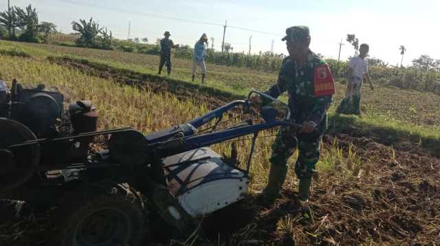 Program Ketahanan Pangan, Koramil Wonomerto Dampingi Para Petani