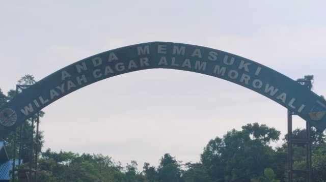 Dugaan Pilih Kasih Menguat, Penindakan BKSDA Morut Tuai Kritik Publik