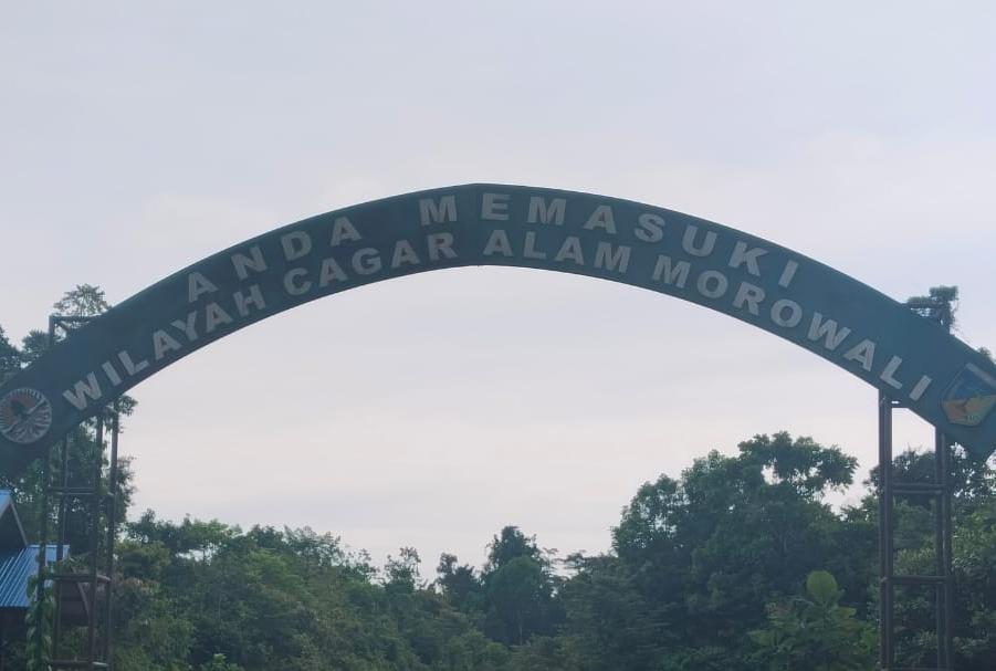 Dugaan Pilih Kasih Menguat, Penindakan BKSDA Morut Tuai Kritik Publik