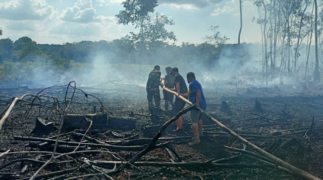 Babinsa Sigap, Kebakaran Lahan Karet di Desa Binturu Berhasil Dipadamkan