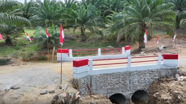 Kasad Launching 11 Jembatan Gantung di Aceh, Bagian dari 218 Jembatan yang Rampung Dibangun TNI
