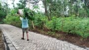 Aktivitas Warga Brabe Lancar Setelah Jalan Paving TMMD Ke-128 Rampung