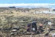 Satgas TMMD Ke-128 Kodim 1801/Manokwari Bersama Anak-Anak Kampung Tanah Rubuh Cari Ikan Bersama