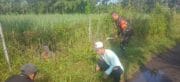 Kerja