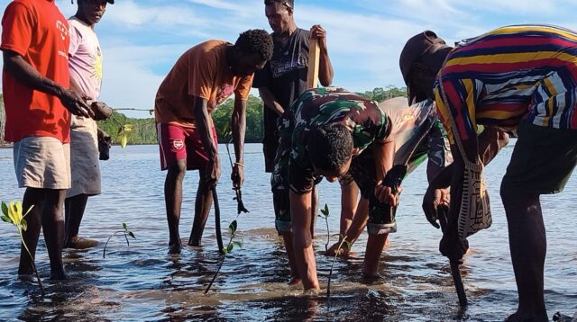 Mangrove