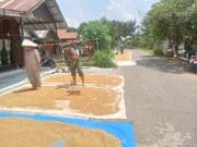 Masyarakat