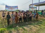 Koramil Sumberasih Hadiri Panen Raya Jagung Kuartal Kedua Di Lahan Pertanian P2TP MUNENG