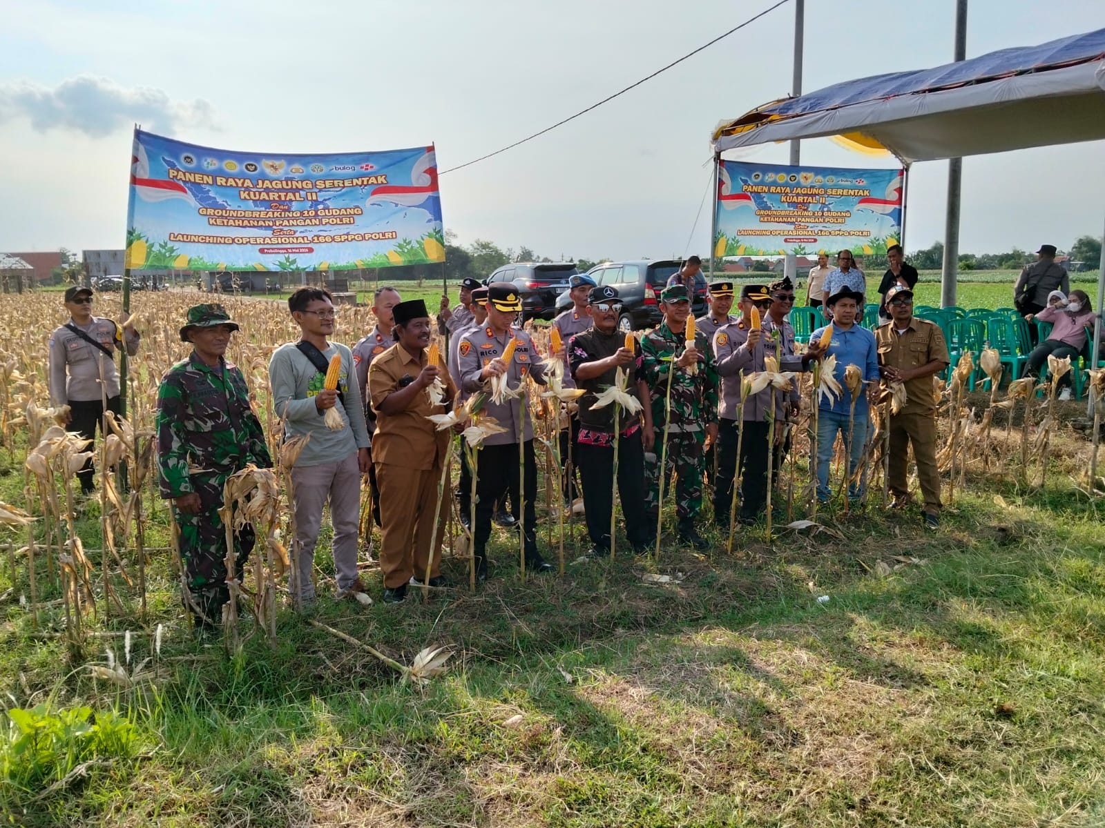 Koramil Sumberasih Hadiri Panen Raya Jagung Kuartal Kedua Di Lahan Pertanian P2TP MUNENG