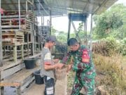 TNI Hadir Dukung Peternak Lokal, Babinsa Barabai Sambangi Kandang Ayam Petelur