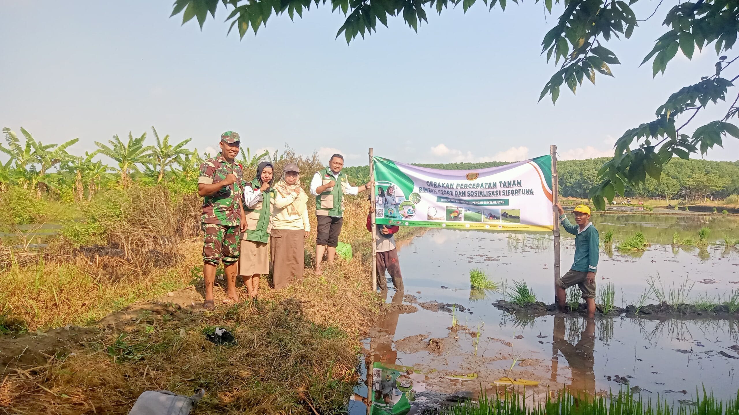 Perkuat Sektor Pertanian, Koramil Kanigaran Bersama Sejumlah Pihak Laksanakan Kegiatan Gerakan Percepatan Tanam Bimtek P3OPT dan Sosialisasi Sifortuna