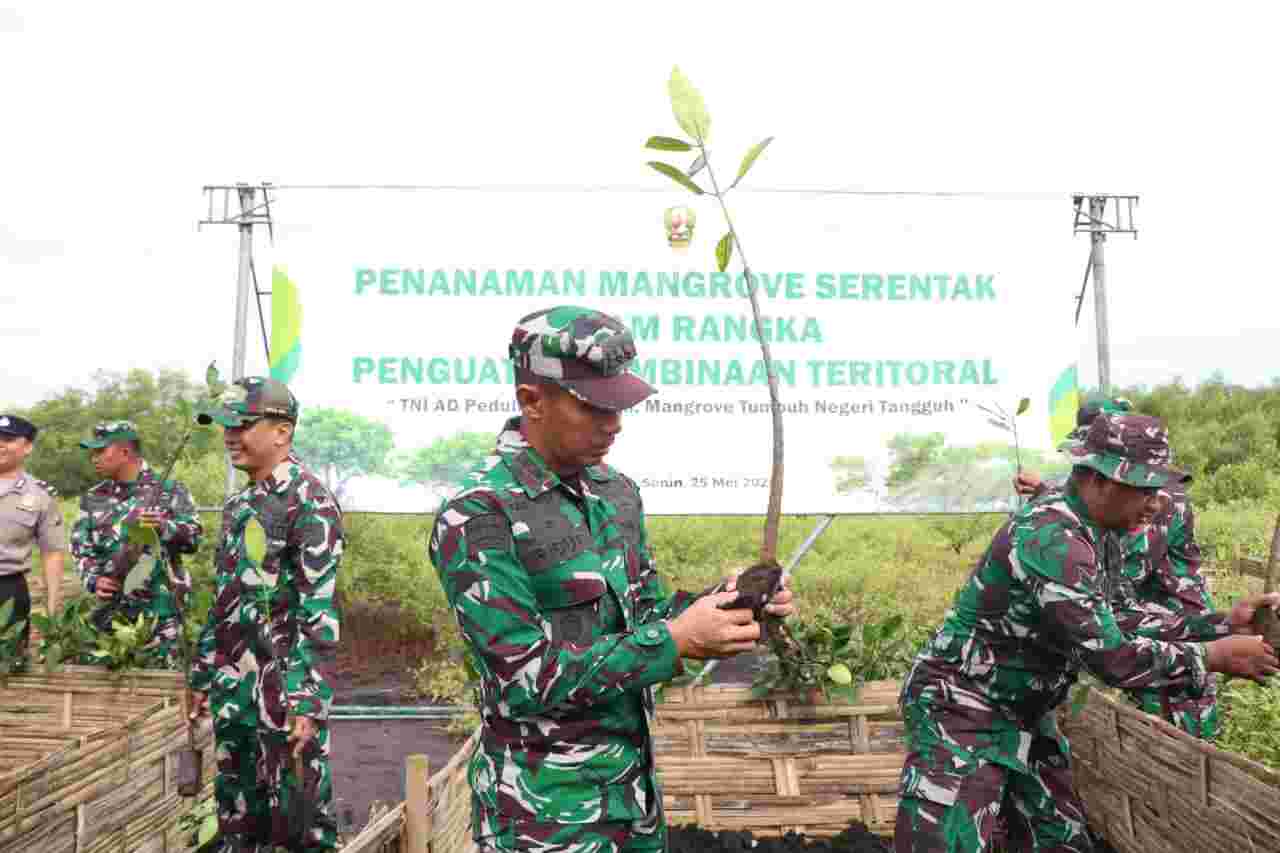 IMG-20260526-WA0035 Penguatan Pembinaan Teritorial, Dandim Pimpin Penanaman Mangrove Serentak Di Wilayah Pesisir