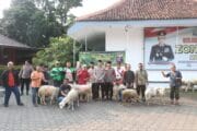 Wujud Kepedulian Polri, Kapolres Probolinggo Kota Distribusikan 4 Sapi dan 39 Kambing Kurban