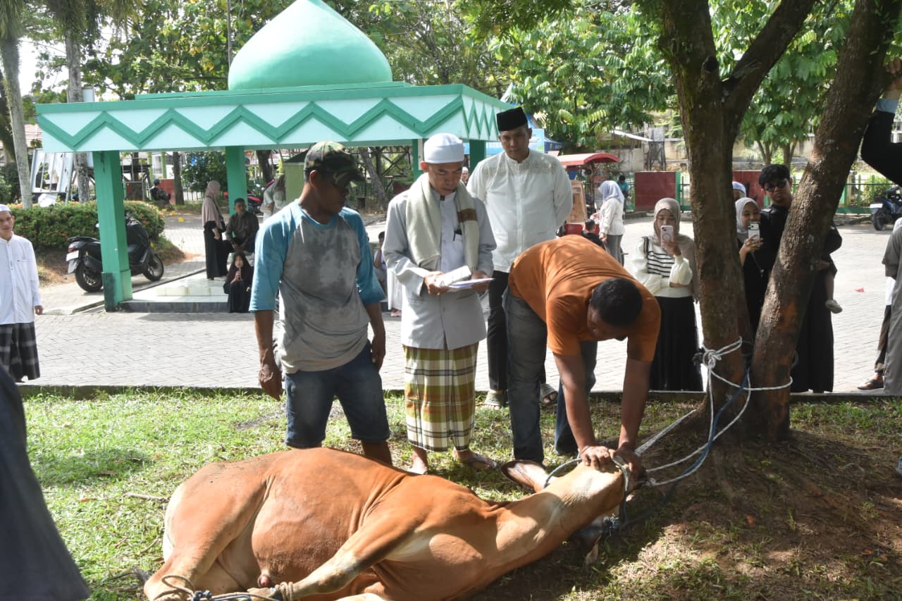 Berbagi di Hari Raya Kurban, Dandim 1002/HST Serahkan Hewan Kurban