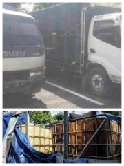 Solar Subsidi Hasil Penimbunan Bisa Picu Kelangkaan di SPBU Sekitar