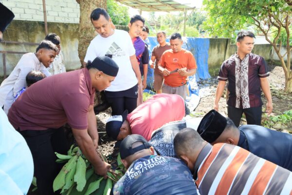 Tebar Kebahagiaan di Hari Raya, Kodim 1505/Tidore Sembelih Hewan Qurban