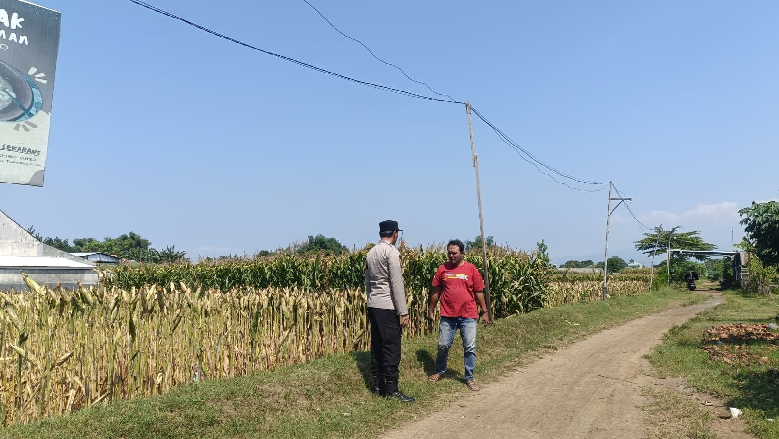 Polri Kawal Ketahanan Pangan dari Desa, Bhabinkamtibmas Sambangi Petani Jagung di Triwung Kidul