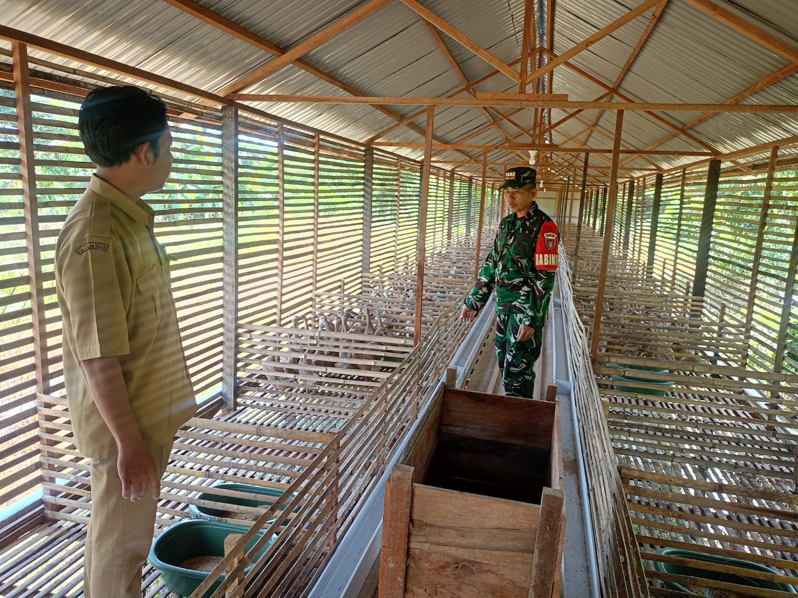 Melalui Komsos, Babinsa Dorong Kemajuan Peternakan Itik Petelur Desa Kasarangan