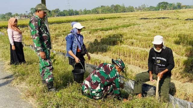 Pembinaan Lingkungan Hidup, Kodim Bojonegoro Tanam Ribuan Pohon Kayu Putih dan Balsa