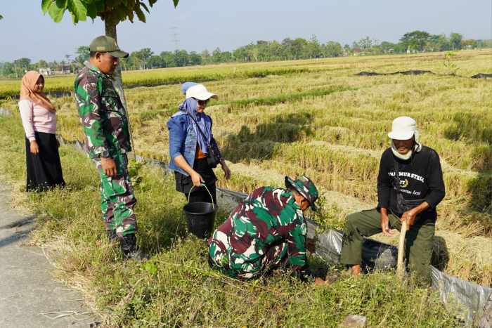 Pembinaan Lingkungan Hidup, Kodim Bojonegoro Tanam Ribuan Pohon Kayu Putih dan Balsa