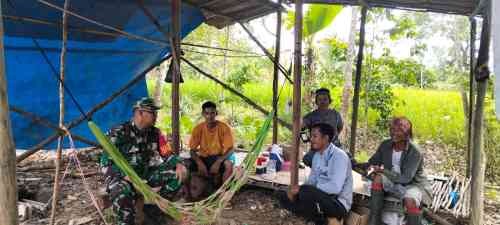 Babinsa Koramil 1008-06/Banua Lawas Terjun Langsung Dampingi Petani dan Pekebun Desa Hapalah
