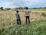 Polri Hadir di Sektor Pertanian, Polsek Tongas Monitoring Sawah dan Serap Keluhan Petani